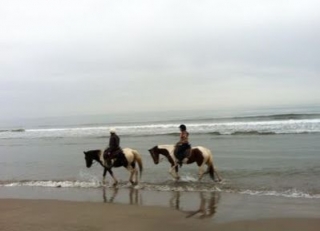  Caminhadas na praia para Cavaleiros Associados